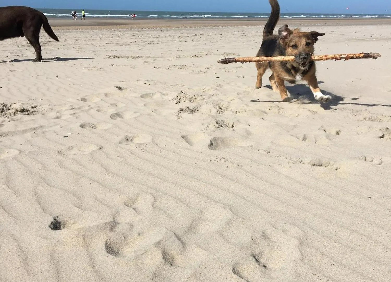 Nordsee Glamping ️Mobilheimchaletstacaravan Bredene 0*,  Belgium